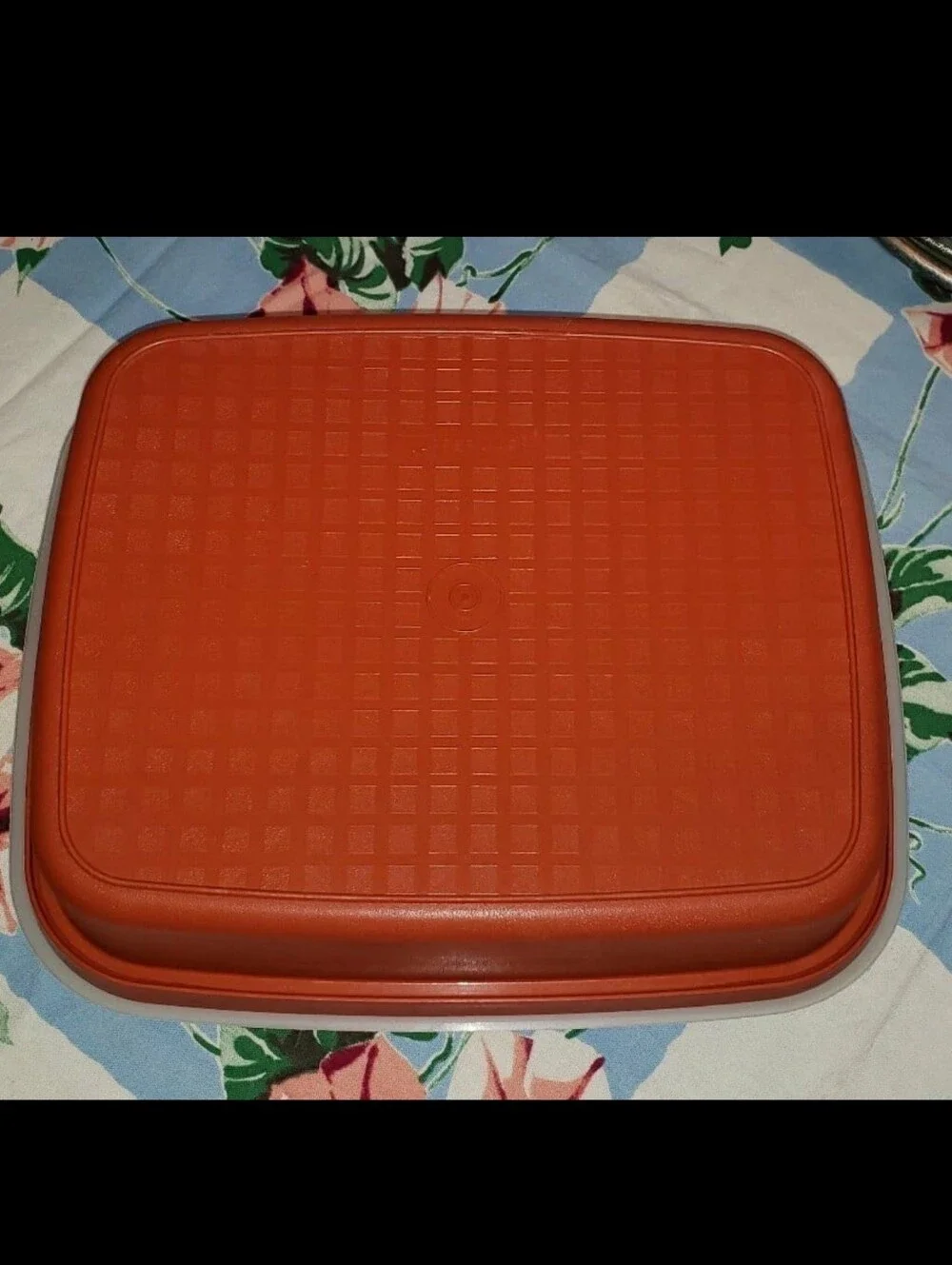 Vintage Two (2) Piece Orange Season & Serve Meat Marinade Tupperware Container